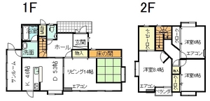 大杉.jpg